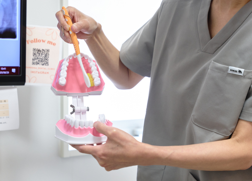 歯磨き指導｜うめおか歯科